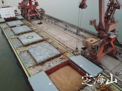 大国粮仓平地而起 现代粮油仓储服务的战略基石